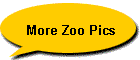 More Zoo Pics